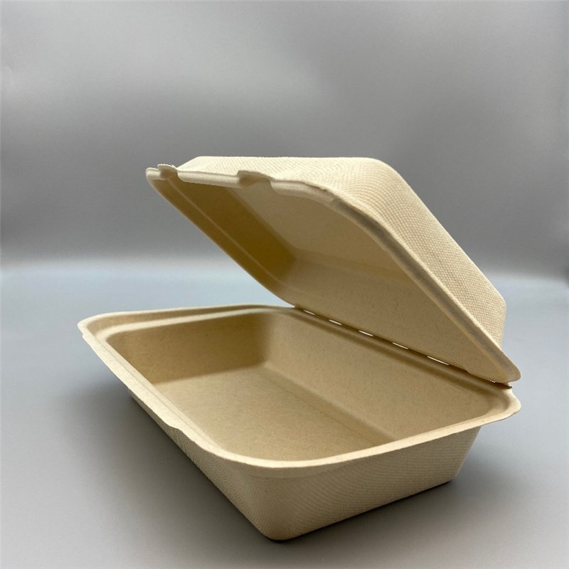 Bagasse Food Packaging